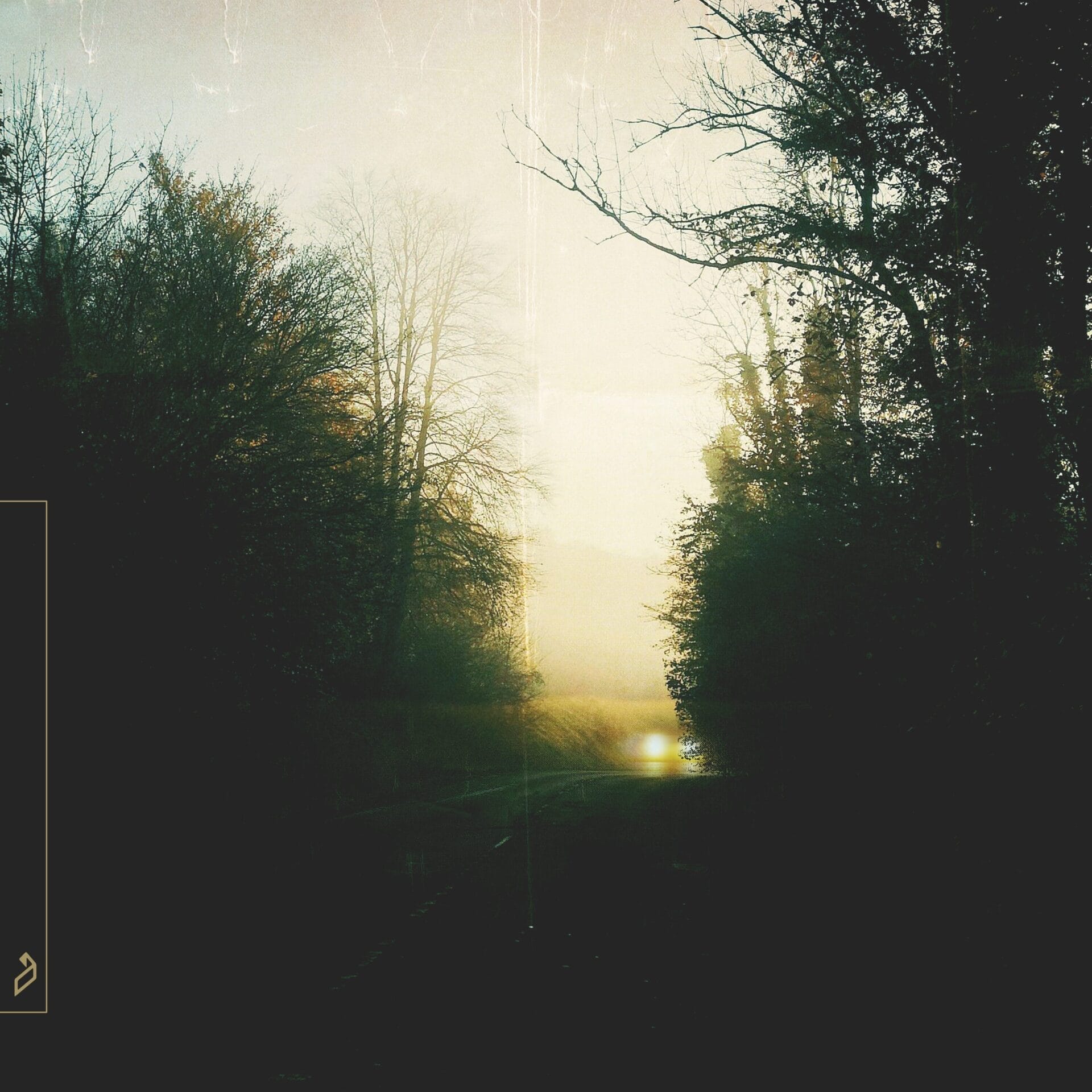 Marsh - Floodlights - 01