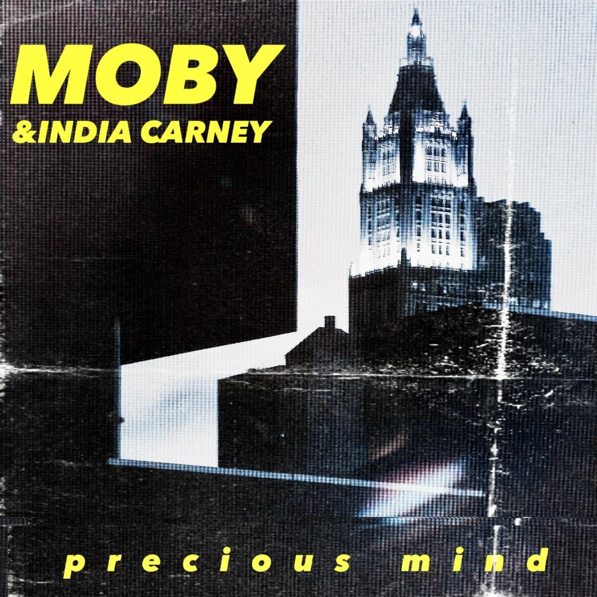 MOBY INDIA CARNEY