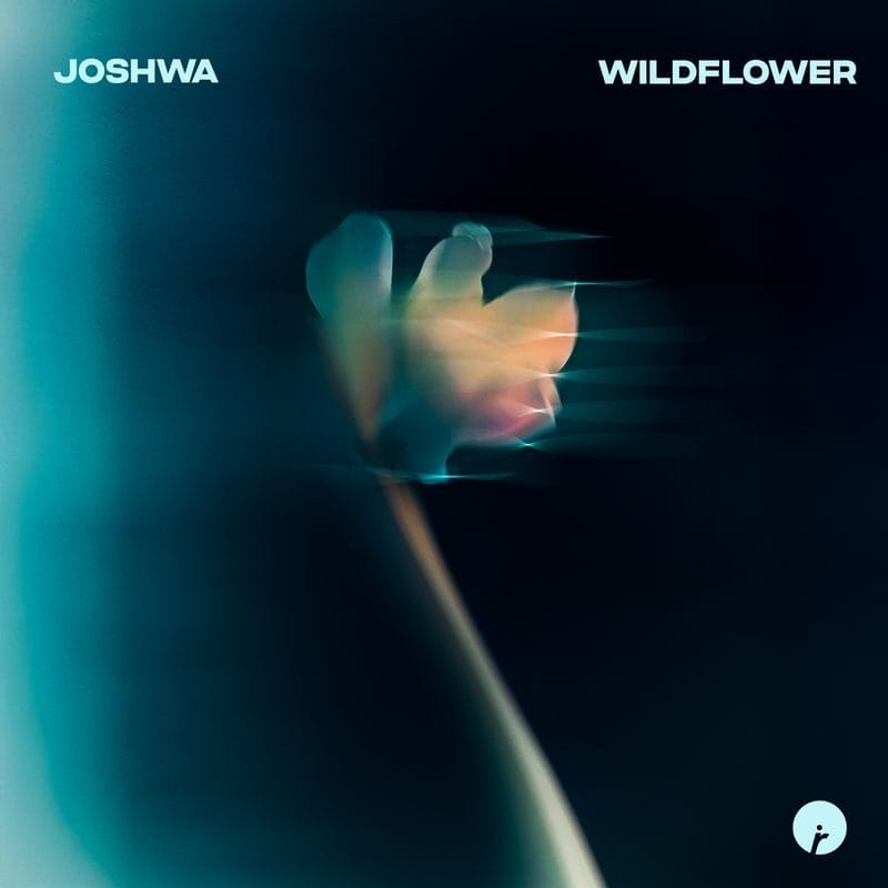 JOSHWA RETURNS TO INSOMNIAC RECORDS WITH “WILDFLOWER”