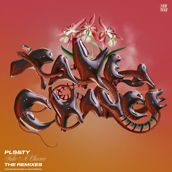 PLS&TY shares remix package of summer anthem “Take A Chance” from Maesic & more