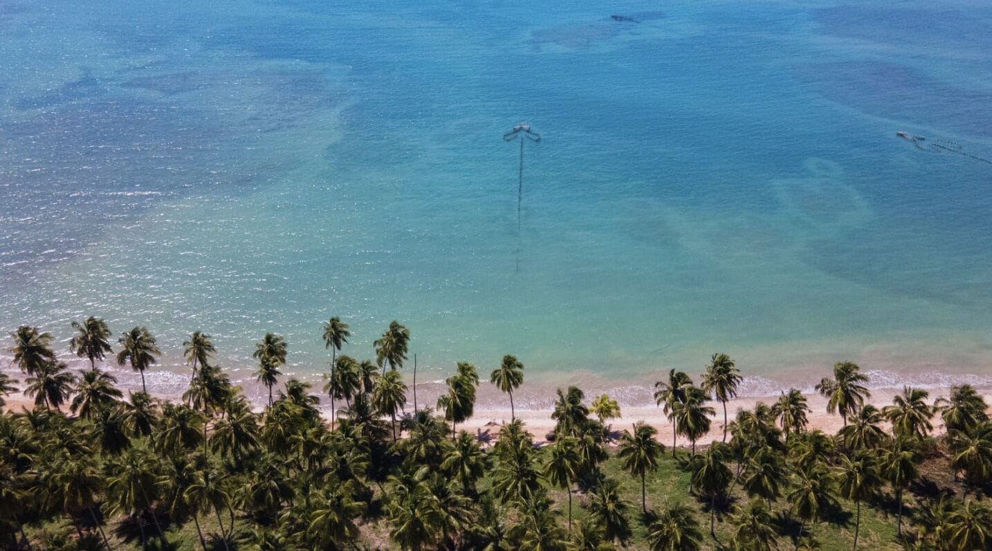 Damian Lazarus Announces Complete Lineup For Day Zero Milagres Brasil