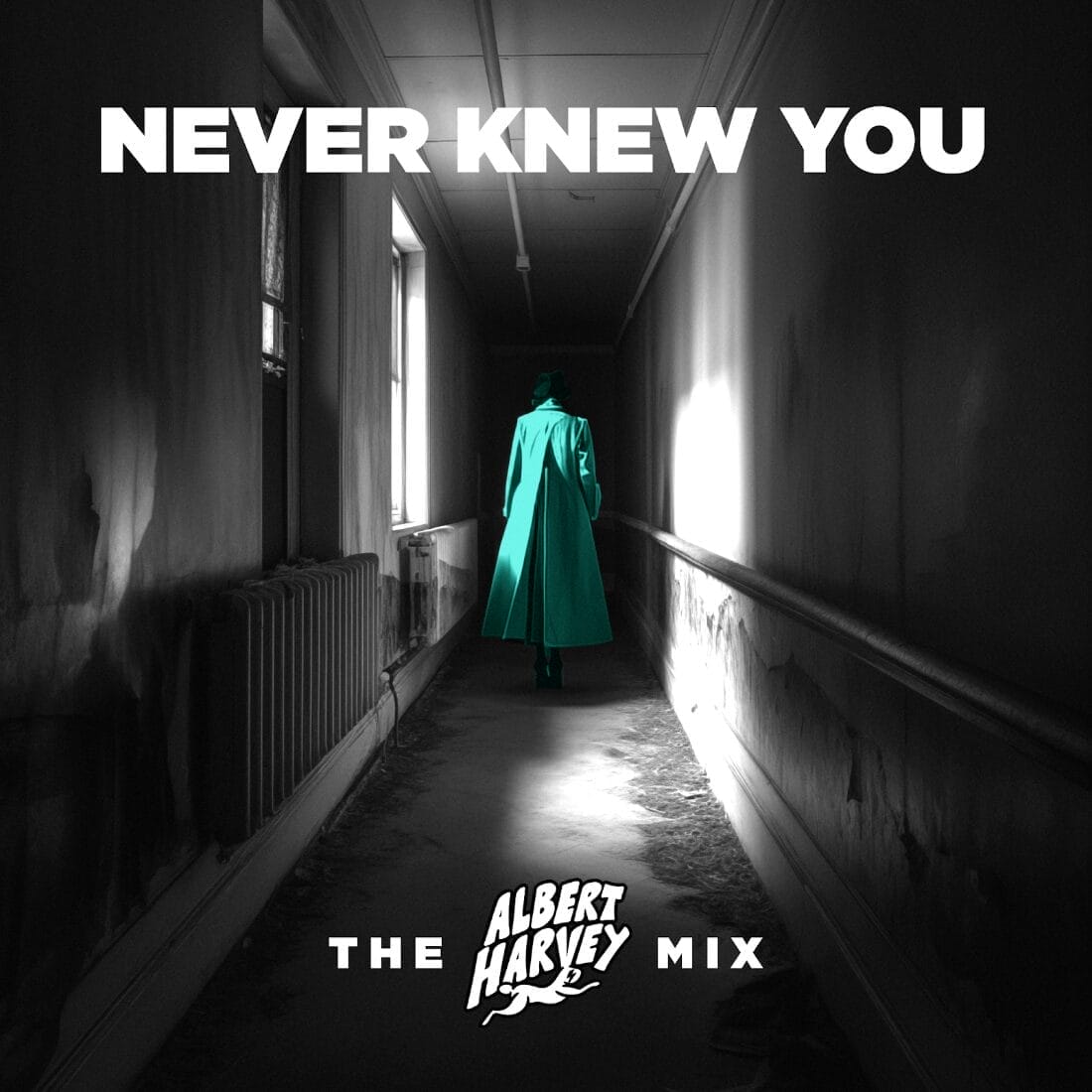 Never Knew You (The Albert Harvey Mix)