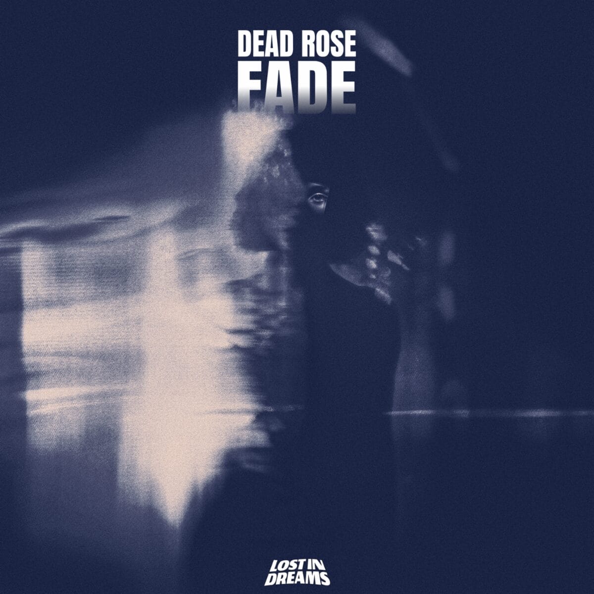Dead Rose – Fade