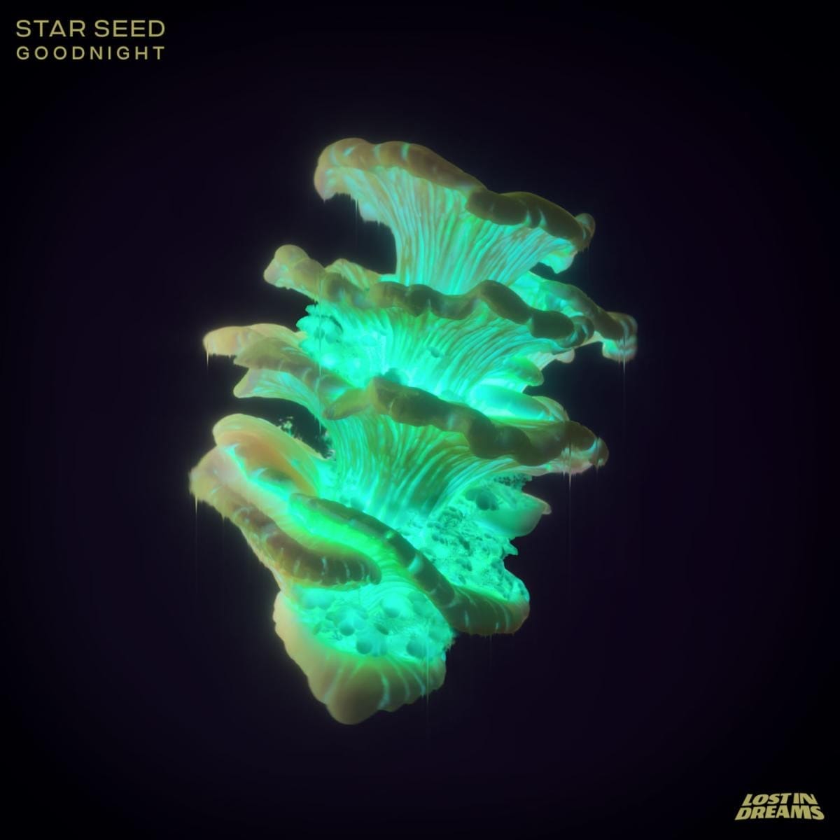 STAR SEED – Good Night