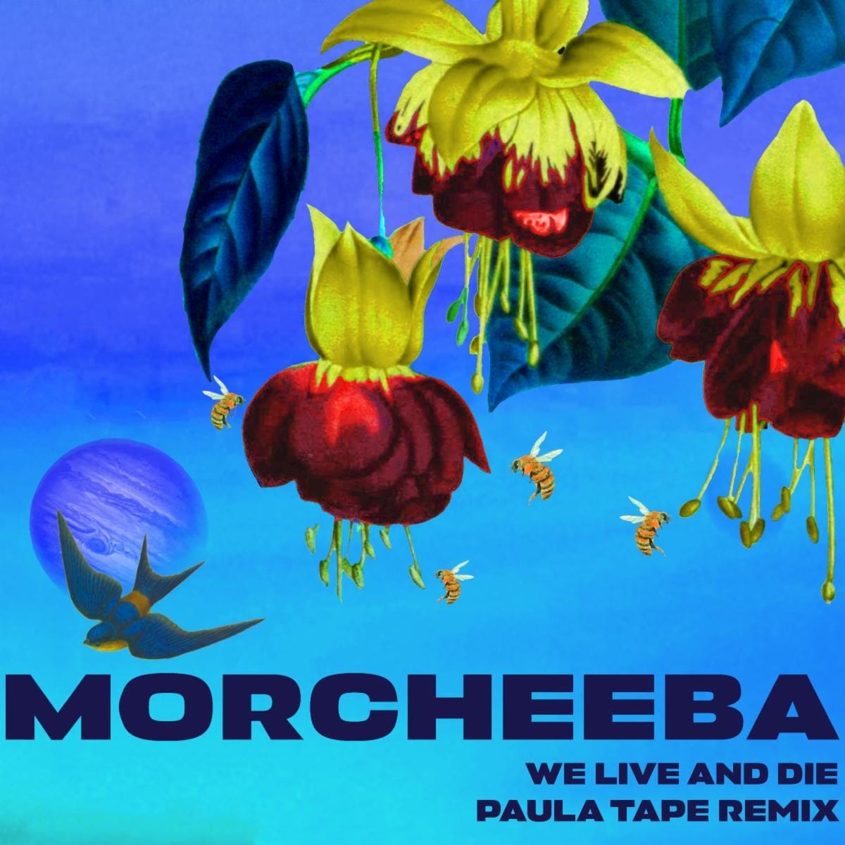 Morcheeba