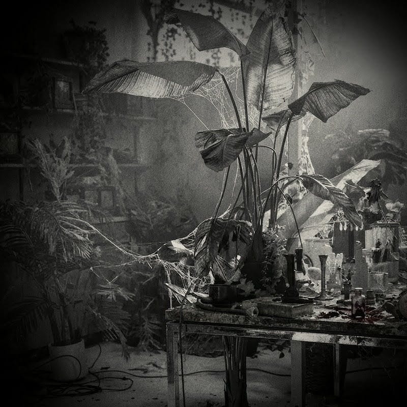 2ŁØT Reexamine Memory and Perspective on New Single “I Hurt Myself Again”